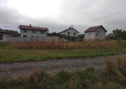 ������ �������� ������ �� ������� �������� ���� 5