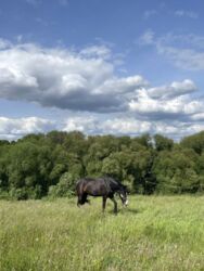 �������� ������ ��� ������ ���� 9