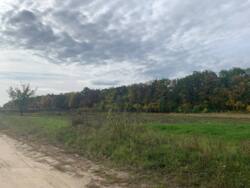 Продаж ділянки в с. Сосонка фото 1 Продаж ділянки в с. Сосонка фото 1