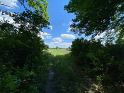 Земельна ділянка за вигідною ціною! Ідеальна для дачі або будинку! фото 3 Земельна ділянка за вигідною ціною! Ідеальна для дачі або будинку! фото 3