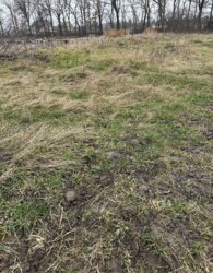 ������ �������� ������ �� ������� �������� ���� 8