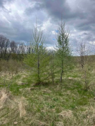 ĳ����� �� ��������!. ���� 4