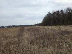 ������ ������ ��� ��� ���� 8