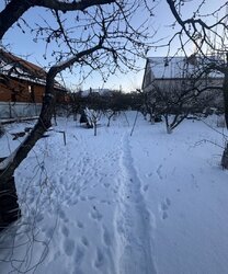 ������ �������� ������ ���� 9