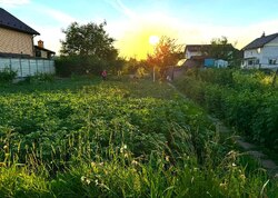 Продаж земельної ділянки під житлову забудову фото 1 Продаж земельної ділянки під житлову забудову фото 1