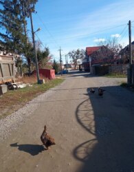 Продаж земельної ділянки під житлову забудову фото 4 Продаж земельної ділянки під житлову забудову фото 4