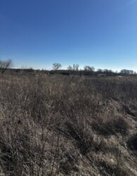 ������ �������� ������ �� ������� �������� ���� 10