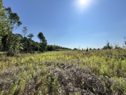 ĳ����� �������� ���� 11