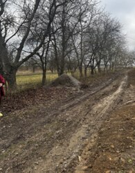 ������ �������� ������ �� ������� �������� ���� 8