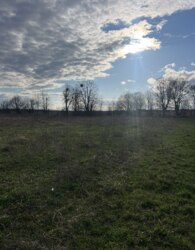 ������ �������� ������ �� ������� �������� ���� 1