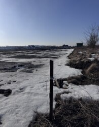 ������ �������� ������ �� ������� �������� ���� 16