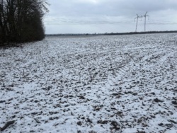 ������ ������ � ���������� ���� 6