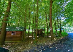 ������ �������� ������ ������������ ����������� �� ���. �������� ���� ���� 15