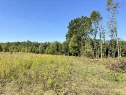 ĳ����� �������� ���� 4