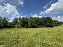 🌿 Продаж земельної ділянки 53 сотки | с. Лукашівка фото 13 🌿 Продаж земельної ділянки 53 сотки | с. Лукашівка фото 13