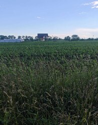 Продаж земельної ділянки під житлову забудову фото 5 Продаж земельної ділянки під житлову забудову фото 5