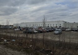 ������ �������� ������ ������������ ����������� ���� 31