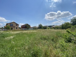 🏡        !  2