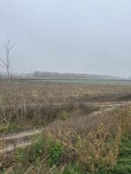 Земельна ділянка. Земля. фото 3 Земельна ділянка. Земля. фото 3