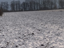 ������ ��� � ��������� ���� 2