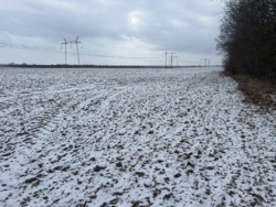 ������ ������ � ���������� ���� 5