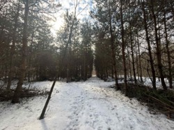 ������ �������� ������ ������ 4 ������� ��������������������� ����������� � ������� ������� ���� � �������� ���� 6