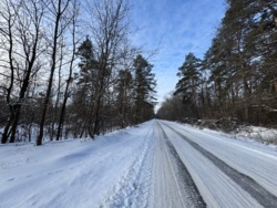 ������ �������� ������ � �. ������ � 20 ����� ��� ��� 🌲 ���� 8