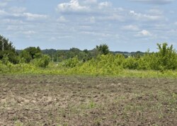 ������ �������� ������ ������������ ����������� �� ���. ��������� ����, ����� 40 ����� ���� 10