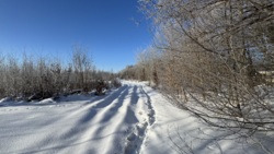 🌿 ������ �������� ������ 10 ����� ������� � �������� ���� ��� ����� �� ����������! ���� 12