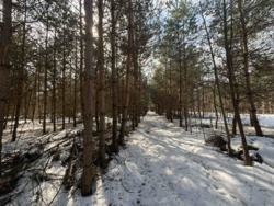 ������ �������� ������ ������ 4 ������� ��������������������� ����������� � ������� ������� ���� � �������� ���� 4