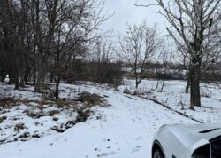 ������ �������� ������ �� ������� �������� ���� 7