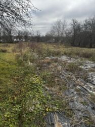 Земельна ділянка. фото 6 Земельна ділянка. фото 6