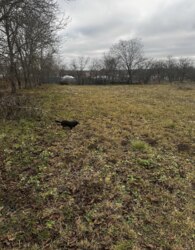 ������ �������� ������ �� ������� �������� ���� 3