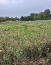 ������ �������� ������ �� ������� �������� �� ���. ������� ������������� ���� 6