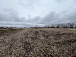 Продаж земельної ділянки вул. Сонячна фото 7 Продаж земельної ділянки вул. Сонячна фото 7