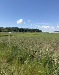Продаж земельної ділянки в Бохониках. фото 4 Продаж земельної ділянки в Бохониках. фото 4