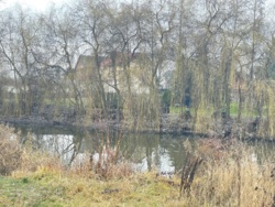 ������ ������ � ������������ ���� 6