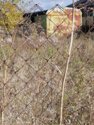 Земельна ділянка 12 сот. Вінницька обл.. фото 3 Земельна ділянка 12 сот. Вінницька обл.. фото 3