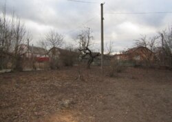 Продаж земельної ділянки під житлову забудову на вул. Миру, площа 25 соток фото 12 Продаж земельної ділянки під житлову забудову на вул. Миру, площа 25 соток фото 12