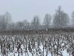 ������ ������ � ��������� ���� 10