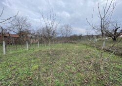 ������ �������� ������ �� ������� �������� �� ���. ������� ���� 2