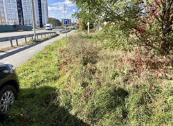 Продаж земельної ділянки під житлову забудову Перемичка фото 5 Продаж земельної ділянки під житлову забудову Перемичка фото 5