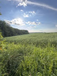 Продаж паю в Березині фото 5 Продаж паю в Березині фото 5
