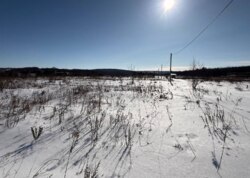 ������ �������� ������ ��������� (��������) ���� 12