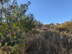 🏞    6     '' 🌿  7