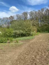 ������ �������� ������ �. ���������� ���� 4