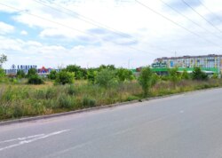 ������ �������� ������ ������������ ����������� �� ����������� ����, ����� 24 ����� ���� 9