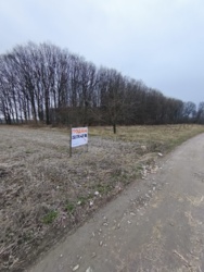 ĳ����� 30 ����� � �. ������� ���� 4