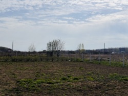 ĳ����� � ٳ���� ���� 11