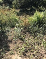 ������ �������� ������ �� ������� �������� ���� 18